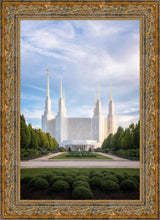Load image into Gallery viewer, Washington DC Blue
