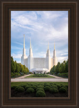 Load image into Gallery viewer, Washington DC Blue
