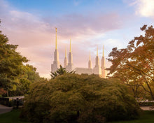 Load image into Gallery viewer, Washington DC Sunset Panorama

