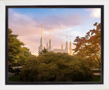 Load image into Gallery viewer, Washington DC Sunset Panorama
