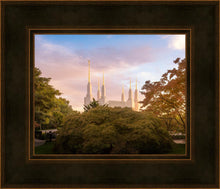 Load image into Gallery viewer, Washington DC Sunset Panorama
