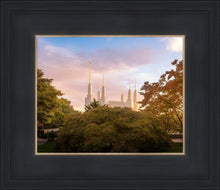 Load image into Gallery viewer, Washington DC Sunset Panorama
