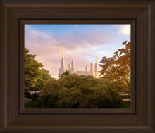 Load image into Gallery viewer, Washington DC Sunset Panorama
