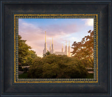 Load image into Gallery viewer, Washington DC Sunset Panorama
