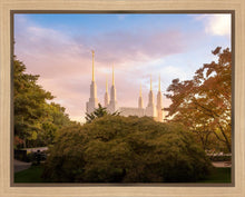 Load image into Gallery viewer, Washington DC Sunset Panorama
