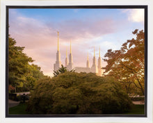 Load image into Gallery viewer, Washington DC Sunset Panorama
