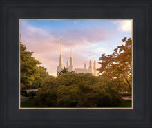 Load image into Gallery viewer, Washington DC Sunset Panorama
