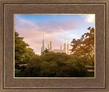 Load image into Gallery viewer, Washington DC Sunset Panorama
