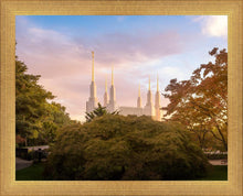 Load image into Gallery viewer, Washington DC Sunset Panorama
