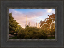 Load image into Gallery viewer, Washington DC Sunset Panorama
