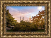 Load image into Gallery viewer, Washington DC Sunset Panorama
