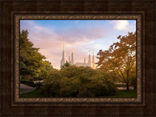 Load image into Gallery viewer, Washington DC Sunset Panorama
