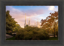 Load image into Gallery viewer, Washington DC Sunset Panorama
