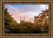 Load image into Gallery viewer, Washington DC Sunset Panorama
