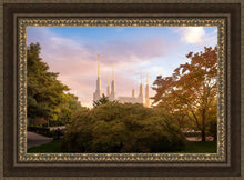 Load image into Gallery viewer, Washington DC Sunset Panorama
