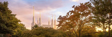 Load image into Gallery viewer, Washington DC Sunset Panorama
