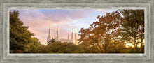 Load image into Gallery viewer, Washington DC Sunset Panorama
