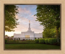 Load image into Gallery viewer, Nashville Trees
