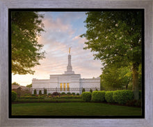 Load image into Gallery viewer, Nashville Trees
