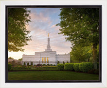 Load image into Gallery viewer, Nashville Trees
