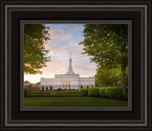 Load image into Gallery viewer, Nashville Trees
