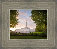 Load image into Gallery viewer, Nashville Trees
