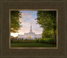 Load image into Gallery viewer, Nashville Trees
