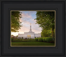 Load image into Gallery viewer, Nashville Trees
