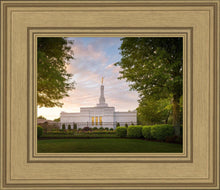Load image into Gallery viewer, Nashville Trees
