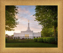 Load image into Gallery viewer, Nashville Trees
