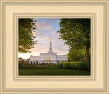 Load image into Gallery viewer, Nashville Trees
