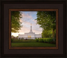 Load image into Gallery viewer, Nashville Trees

