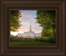 Load image into Gallery viewer, Nashville Trees
