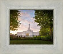 Load image into Gallery viewer, Nashville Trees
