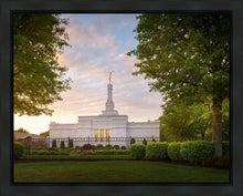 Load image into Gallery viewer, Nashville Trees
