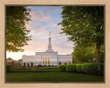 Load image into Gallery viewer, Nashville Trees
