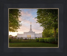 Load image into Gallery viewer, Nashville Trees
