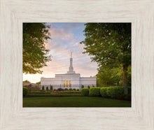 Load image into Gallery viewer, Nashville Trees
