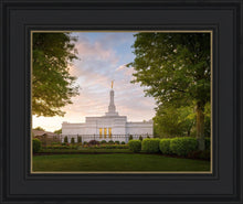 Load image into Gallery viewer, Nashville Trees
