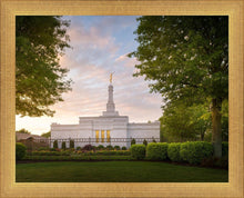 Load image into Gallery viewer, Nashville Trees
