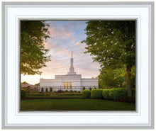 Load image into Gallery viewer, Nashville Trees

