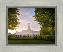 Load image into Gallery viewer, Nashville Trees
