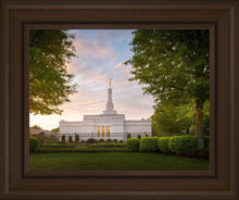Load image into Gallery viewer, Nashville Trees
