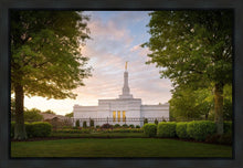 Load image into Gallery viewer, Nashville Trees
