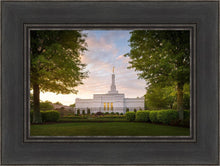 Load image into Gallery viewer, Nashville Trees
