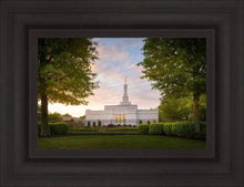 Load image into Gallery viewer, Nashville Trees
