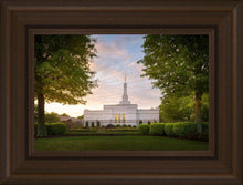 Load image into Gallery viewer, Nashville Trees
