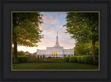 Load image into Gallery viewer, Nashville Trees
