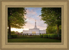 Load image into Gallery viewer, Nashville Trees
