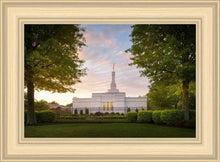 Load image into Gallery viewer, Nashville Trees
